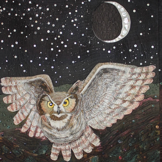 Night Owl detail.jpeg