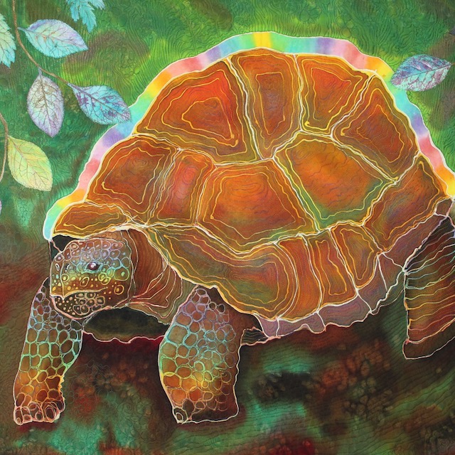Old Turtle detail.jpeg